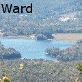 VLWard